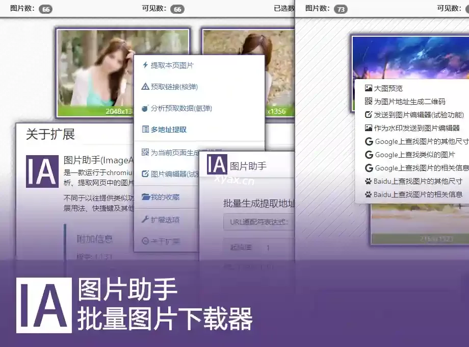 IA图片助手(ImageAssistant)